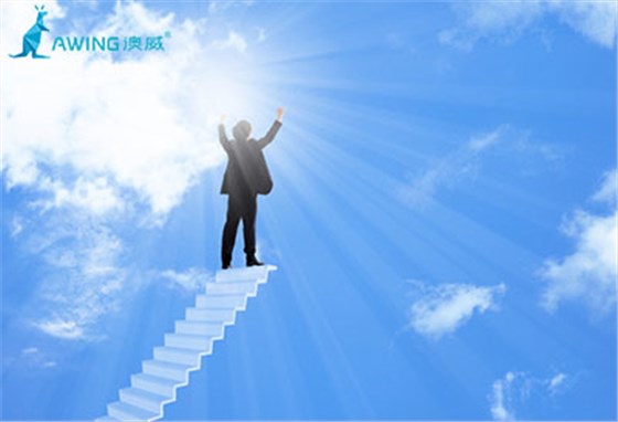 鋁合金門(mén)窗十大品牌企業(yè)立足市場(chǎng)的方法 鋁合金門(mén)窗十大品牌企業(yè)立足市場(chǎng)的方法